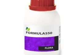 Emanaisis Community S.R.L