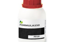 Emanaisis Community S.R.L